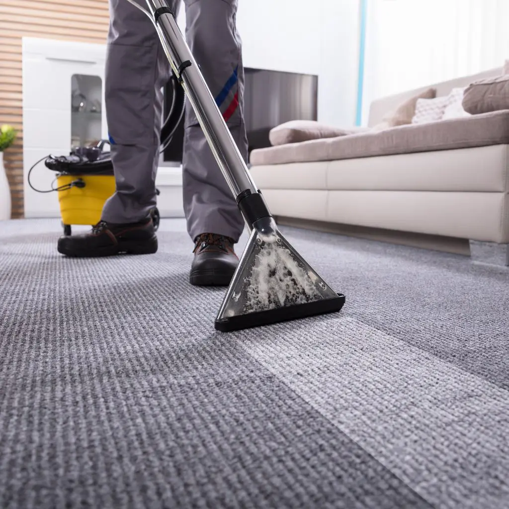 Carpet Cleaning Services