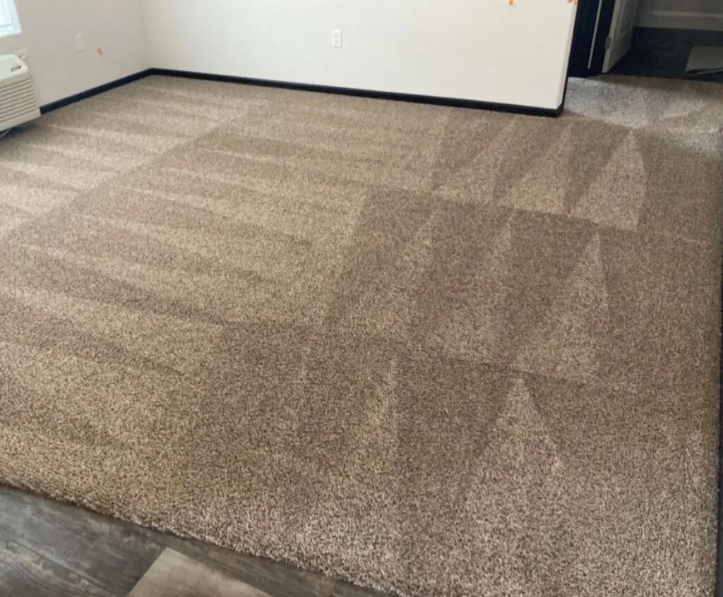Freshly cleaned residential carpet