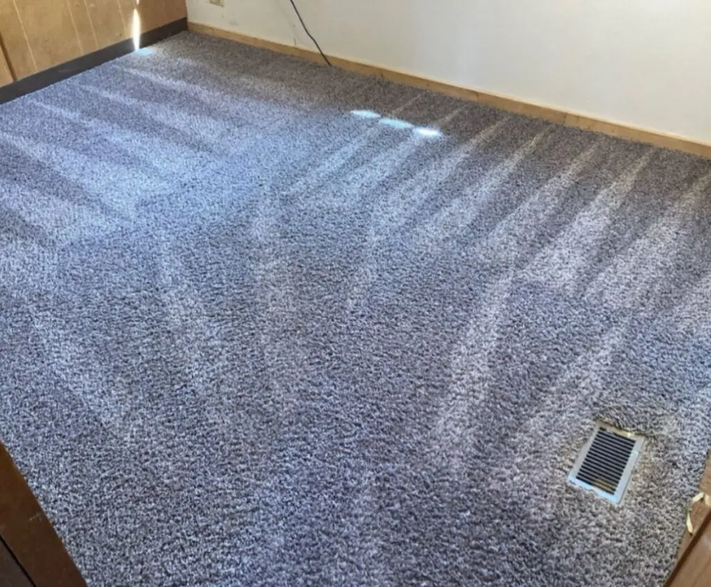 Residential carpet freshly vacuumed by cleaning professionals