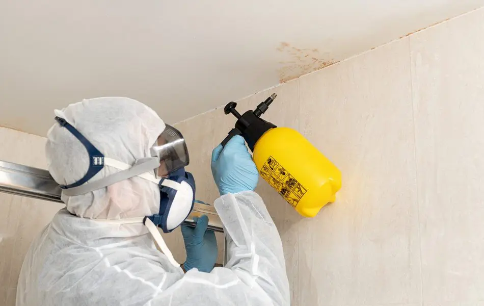 Mold-Removal-Professional-in-protective-gear